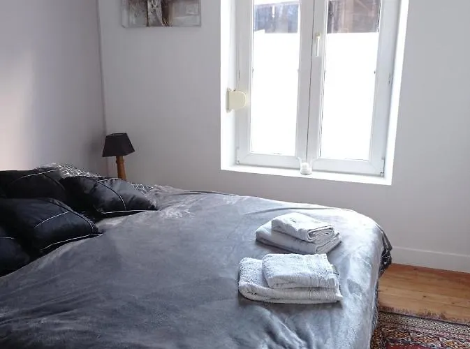 Appartement Le 31bis Mathilde Centre Historique *